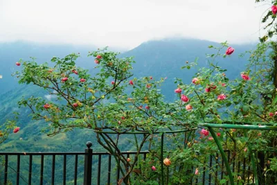 Sapa Highland Resort & Spa – Fotos 15